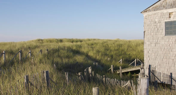 View of Buildings and Dunes