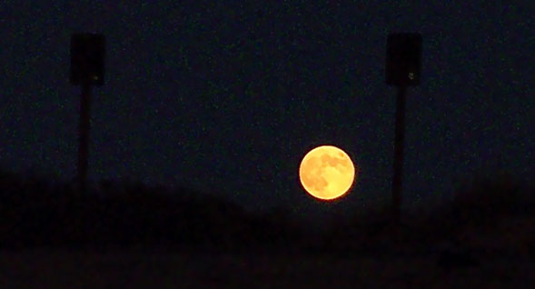 Moonlight on the Provincetown Moors