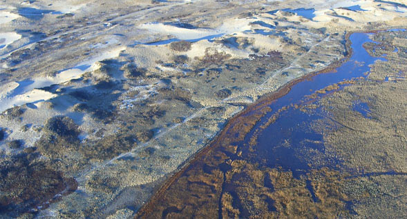 Shot of the marshes from the air