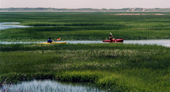Kayaking in Provincetown Harbor - View from the Inn at the Moors