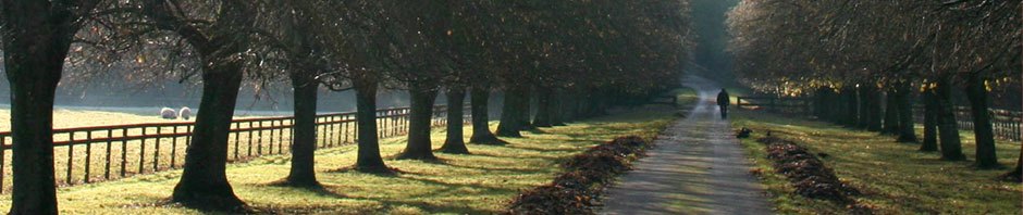innatthemoors.com