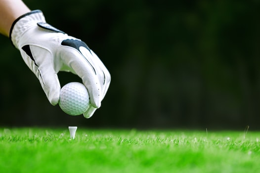 gambling online sportsbook